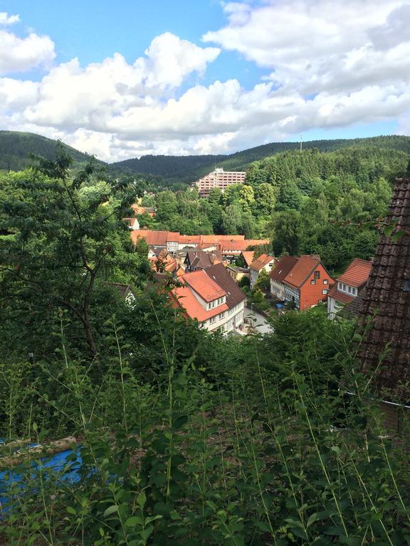Ferienwohnung Zur Alten Post Бад-Грунд Экстерьер фото