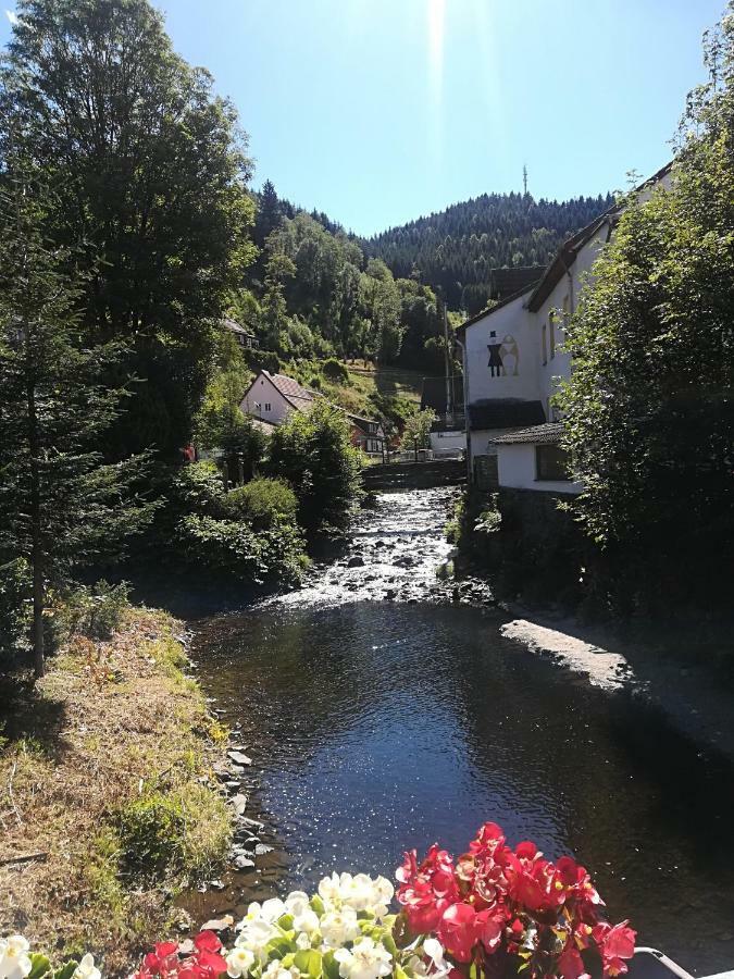 Ferienwohnung Zur Alten Post Бад-Грунд Экстерьер фото