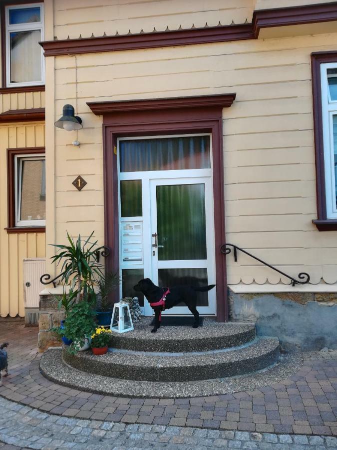 Ferienwohnung Zur Alten Post Бад-Грунд Экстерьер фото